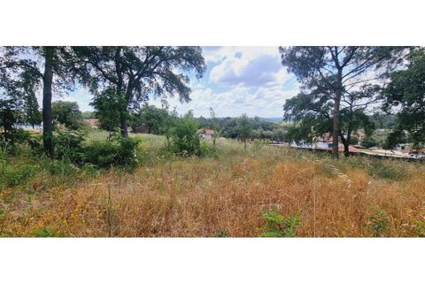 Terra a Monte Real, Leiria, Monte Real - € 280.000 | Ref: TER_182 - foto 4