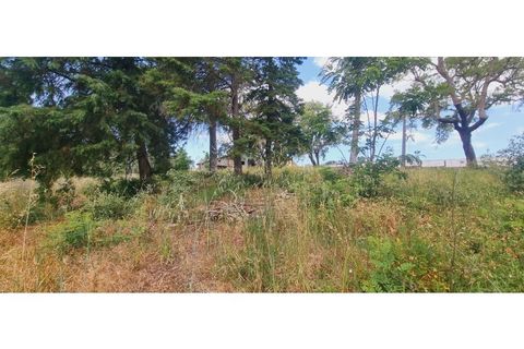 Terra a Monte Real, Leiria, Monte Real - € 280.000 | Ref: TER_182 - foto 5