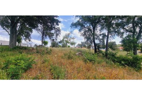 Terra a Monte Real, Leiria, Monte Real - € 280.000 | Ref: TER_182 - foto 6