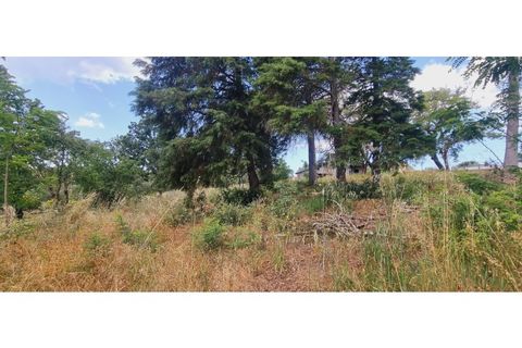 Terra a Monte Real, Leiria, Monte Real - € 280.000 | Ref: TER_182 - foto 7