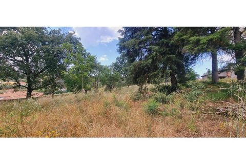 Terra a Monte Real, Leiria, Monte Real - € 280.000 | Ref: TER_182 - foto 8