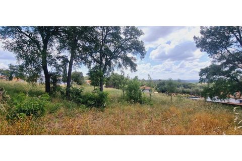 Terra a Monte Real, Leiria, Monte Real - € 280.000 | Ref: TER_182 - foto 9