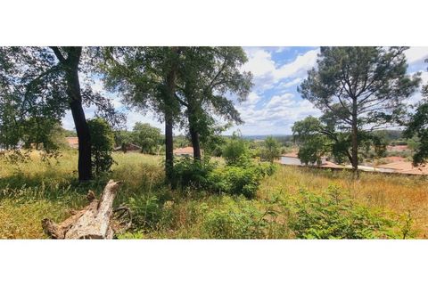 Terra a Monte Real, Leiria, Monte Real - € 280.000 | Ref: TER_182 - foto 10