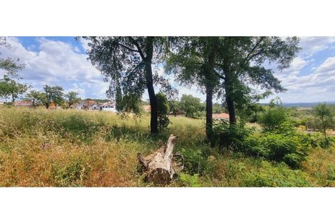 Terra a Monte Real, Leiria, Monte Real - € 280.000 | Ref: TER_182 - foto 11