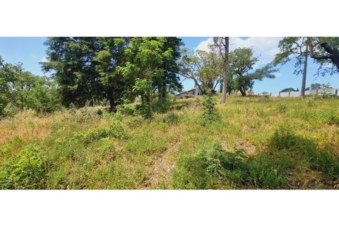 Terra a Monte Real, Leiria, Monte Real - € 280.000 | Ref: TER_182 - foto 12
