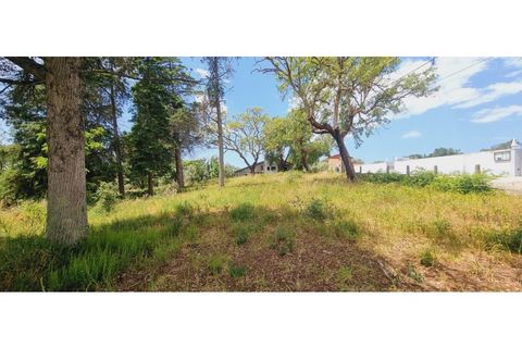 Terra a Monte Real, Leiria, Monte Real - € 280.000 | Ref: TER_182 - foto 13