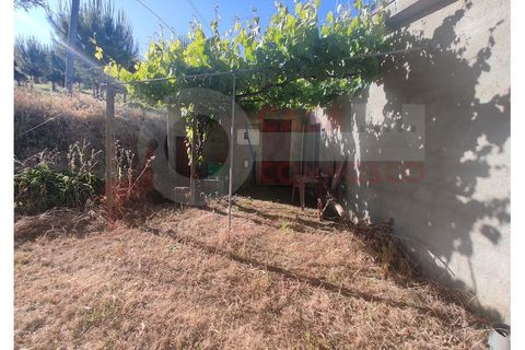 Farm i Folques, Coimbra, Folques - € 82.000 | Ref: AC 23/309 - foto 2