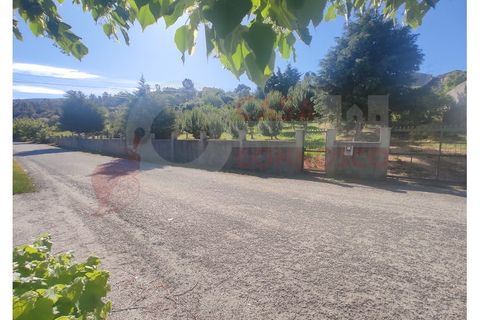 Farm i Folques, Coimbra, Folques - € 82.000 | Ref: AC 23/309 - foto 6