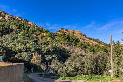 Villa i La Garde-Freinet, Var, La Garde-Freinet - € 449.000 | Ref: 23.012-v10 - foto 17