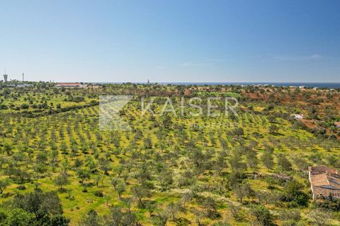 Maa Albufeirassa, Faro, Albufeira - € 1 300 000 | Viite: KP.500 - valokuva 2