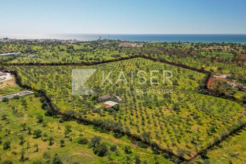Maa Albufeirassa, Faro, Albufeira - € 1 300 000 | Viite: KP.500 - valokuva 3