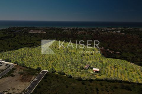Maa Albufeirassa, Faro, Albufeira - € 1 300 000 | Viite: KP.500 - valokuva 4