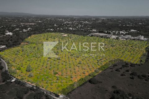 Maa Albufeirassa, Faro, Albufeira - € 1 300 000 | Viite: KP.500 - valokuva 5
