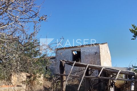 Maa Albufeirassa, Faro, Albufeira - € 1 300 000 | Viite: KP.500 - valokuva 11