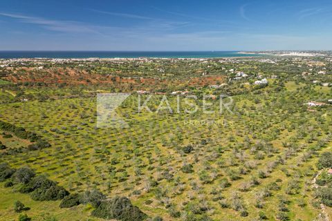 Maa Albufeirassa, Faro, Albufeira - € 1 300 000 | Viite: KP.500 - valokuva 15