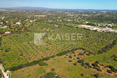 Maa Albufeirassa, Faro, Albufeira - € 1 300 000 | Viite: KP.500 - valokuva 16
