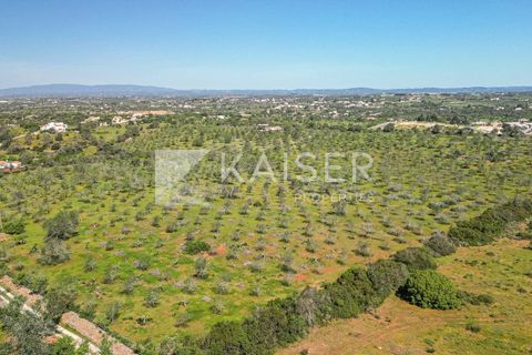 Maa Albufeirassa, Faro, Albufeira - € 1 300 000 | Viite: KP.500 - valokuva 17