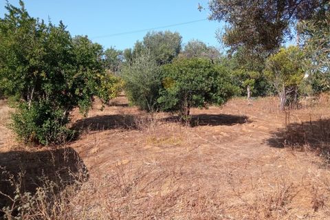 Ruinere i Quelfes, Faro, Quelfes - € 235.000 | Ref: VVO288 - foto 3