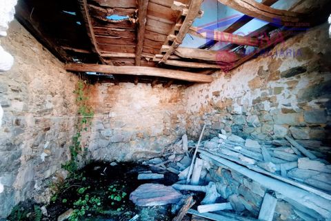 Villa i Castelo Branco, Castelo Branco, Castelo Branco - € 35.000 | Ref: DV239/0623 - foto 18