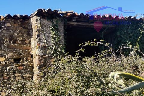 Villa i Castelo Branco, Castelo Branco, Castelo Branco - € 35.000 | Ref: DV239/0623 - foto 20