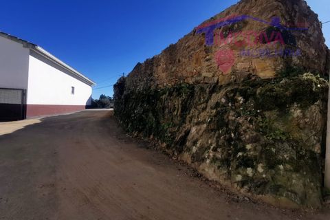Villa i Castelo Branco, Castelo Branco, Castelo Branco - € 35.000 | Ref: DV239/0623 - foto 23