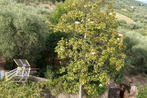 Byhus i Lucca, Lucca, Lucca - € 230.000 | Ref: 4887 - foto 6
