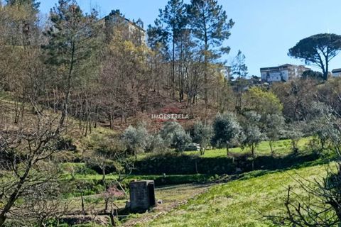 Farm i Seia, Guarda, Seia - € 82.500 | Ref: 23032 - foto 3