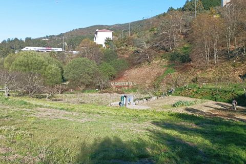 Farm i Seia, Guarda, Seia - € 82.500 | Ref: 23032 - foto 4