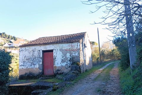Farm i Seia, Guarda, Seia - € 82.500 | Ref: 23032 - foto 6