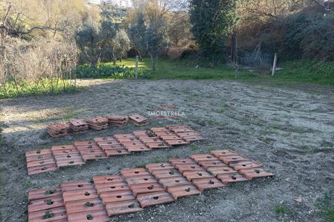 Farm i Seia, Guarda, Seia - € 82.500 | Ref: 23032 - foto 7