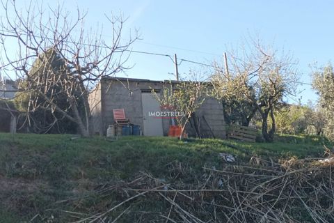 Farm i Seia, Guarda, Seia - € 82.500 | Ref: 23032 - foto 8