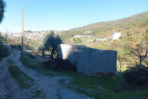 Farm i Seia, Guarda, Seia - € 82.500 | Ref: 23032 - foto 9