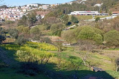 Farm i Seia, Guarda, Seia - € 82.500 | Ref: 23032 - foto 10
