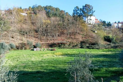 Farm i Seia, Guarda, Seia - € 82.500 | Ref: 23032 - foto 12