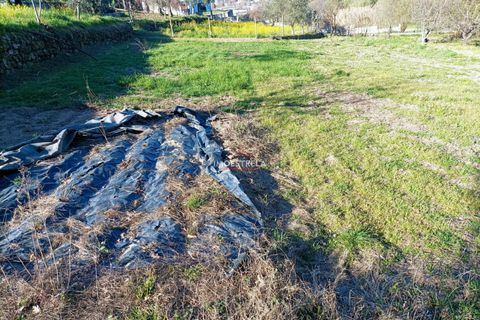 Farm i Seia, Guarda, Seia - € 82.500 | Ref: 23032 - foto 13