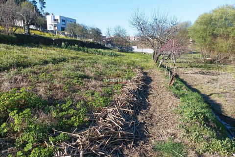 Farm i Seia, Guarda, Seia - € 82.500 | Ref: 23032 - foto 14