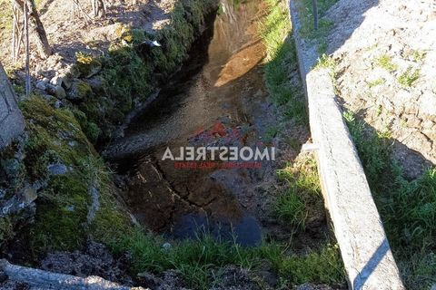 Farm i Seia, Guarda, Seia - € 82.500 | Ref: 23032 - foto 15