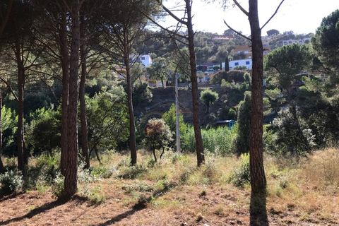 Tomt i Calonge, Gerona - foto 1