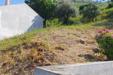 Terra a Armamar, Viseu, Armamar - € 27.900 | Ref: 803231004 - foto 4