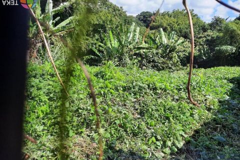 Helårsgrund i Saint-Andre, La Reunion, Saint-Andre - € 136.000 | Ref: 6034 - foto 1