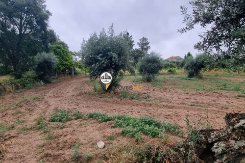 Helårsgrund i Castelo Branco, Castelo Branco, Castelo Branco - € 45.000 | Ref: 2583 - foto 4