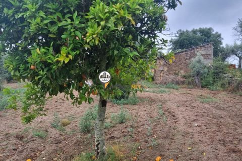 Helårsgrund i Castelo Branco, Castelo Branco, Castelo Branco - € 45.000 | Ref: 2583 - foto 5
