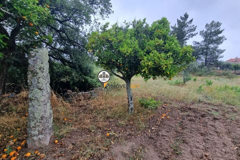 Helårsgrund i Castelo Branco, Castelo Branco, Castelo Branco - € 45.000 | Ref: 2583 - foto 6