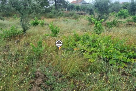 Helårsgrund i Castelo Branco, Castelo Branco, Castelo Branco - € 45.000 | Ref: 2583 - foto 8
