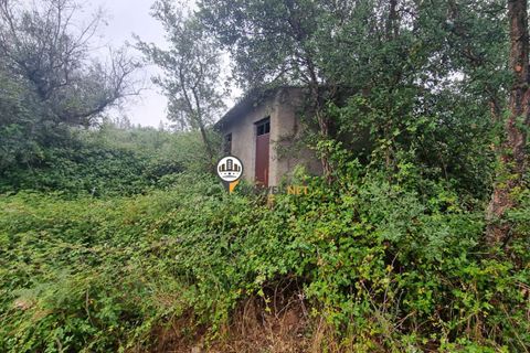 Helårsgrund i Castelo Branco, Castelo Branco, Castelo Branco - € 21.000 | Ref: 2584 - foto 4