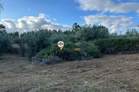 Helårsgrund i Castelo Branco, Castelo Branco, Castelo Branco - € 21.000 | Ref: 2584 - foto 3