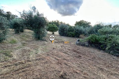 Helårsgrund i Castelo Branco, Castelo Branco, Castelo Branco - € 21.000 | Ref: 2584 - foto 7