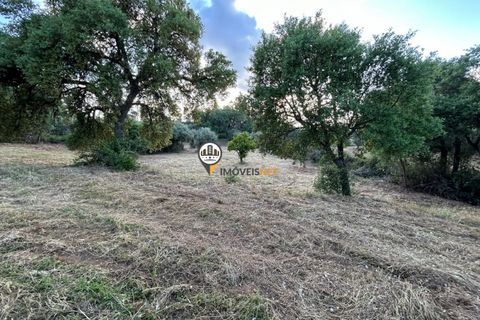 Helårsgrund i Castelo Branco, Castelo Branco, Castelo Branco - € 21.000 | Ref: 2584 - foto 10