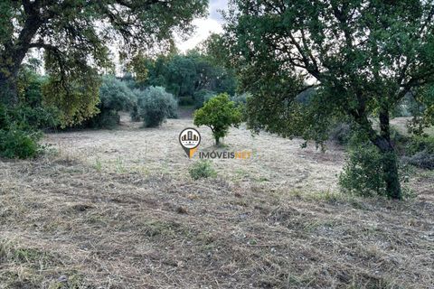 Helårsgrund i Castelo Branco, Castelo Branco, Castelo Branco - € 21.000 | Ref: 2584 - foto 11
