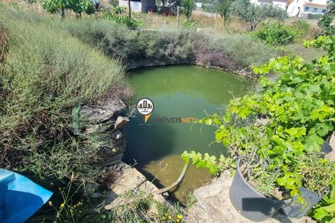 Helårsgrund i Castelo Branco, Castelo Branco, Castelo Branco - € 68.000 | Ref: 2587 - foto 1